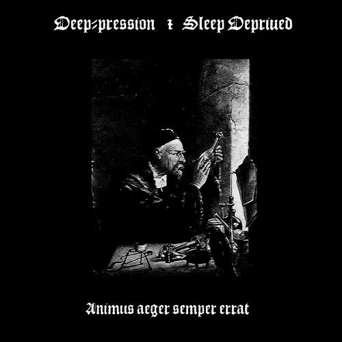 Deep-pression - Animus Aeger Semper Errat Album Cover Artwork