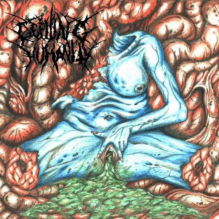 Defiling Humanity - Chamber of Shapeless Cadaveric Pieces Album Cover