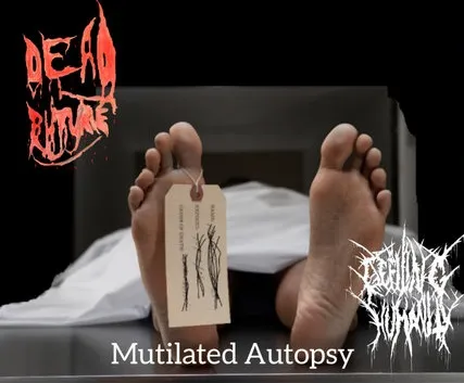 Defiling Humanity - Mutilated Autopsy Album Cover Artwork