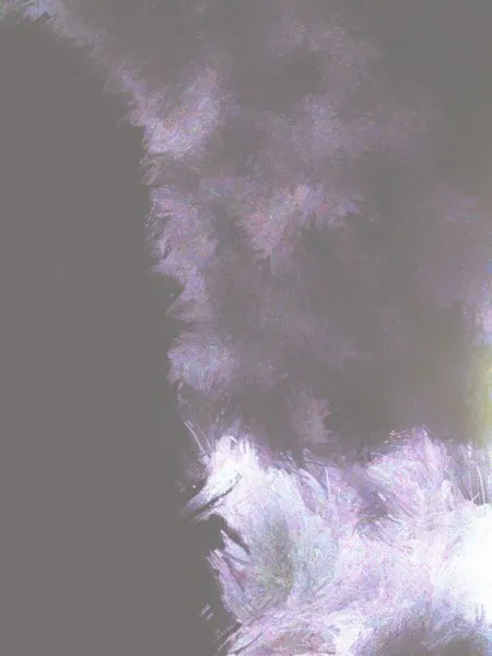 Dhampyr - Albatross in the Slop-house Album Cover