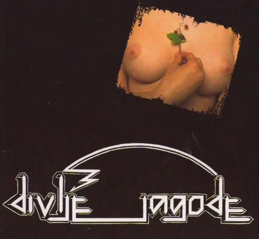 Divlje jagode