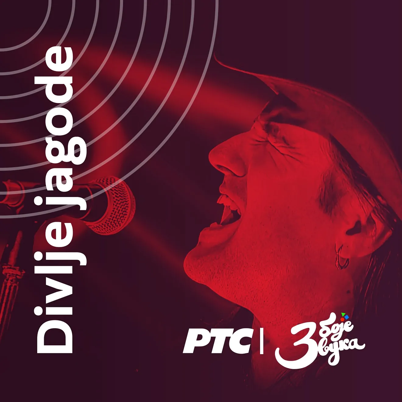 Divlje jagode - Tri boje zvuka (Live at RTS Studio 8, 2016) Album Cover
