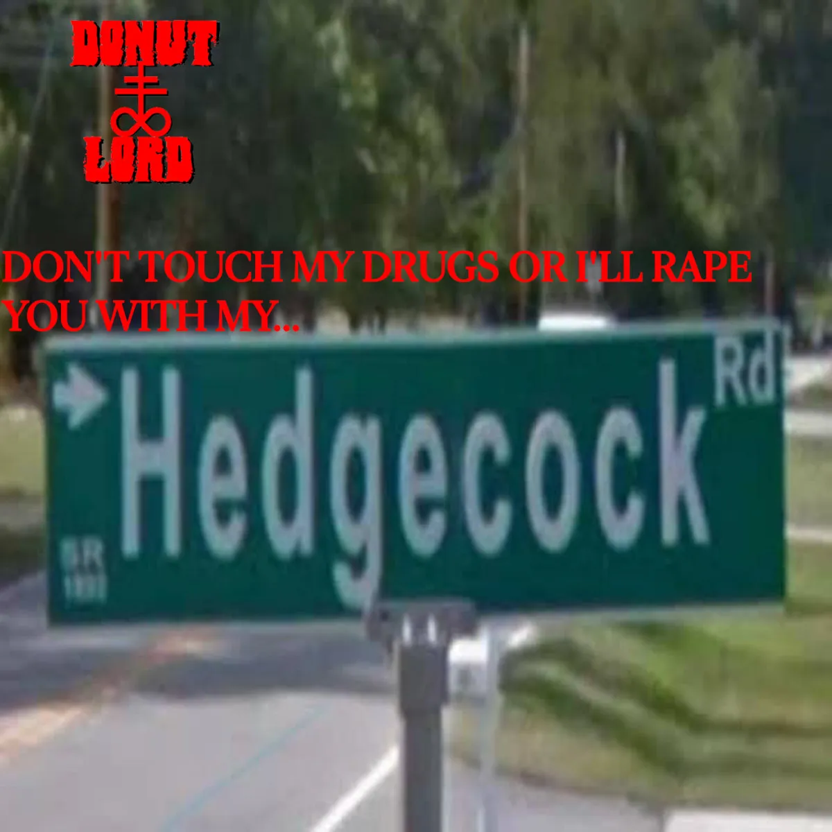 Don't Touch My Drugs or I'll Rape You with My Hedgecock Album Cover