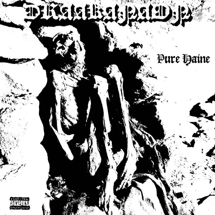 Draakanaon - Pure haine Album Cover
