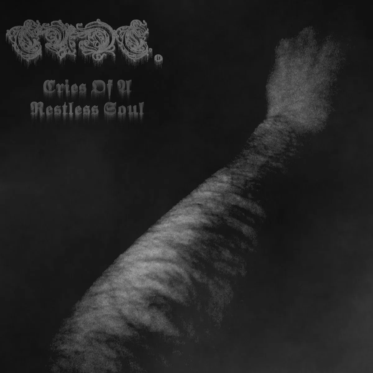 Ende. - Cries of a Restless Soul Album Cover Artwork
