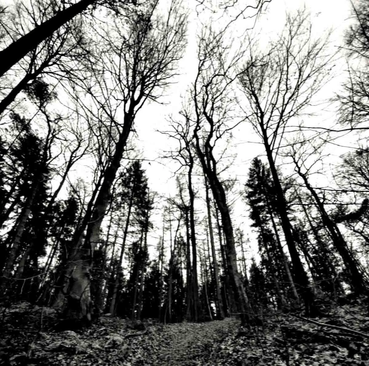 Ende. - Scherbenwelt Album Cover Artwork
