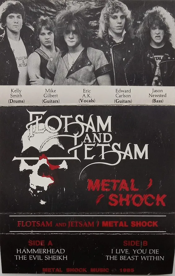 Metal Shock Album Cover