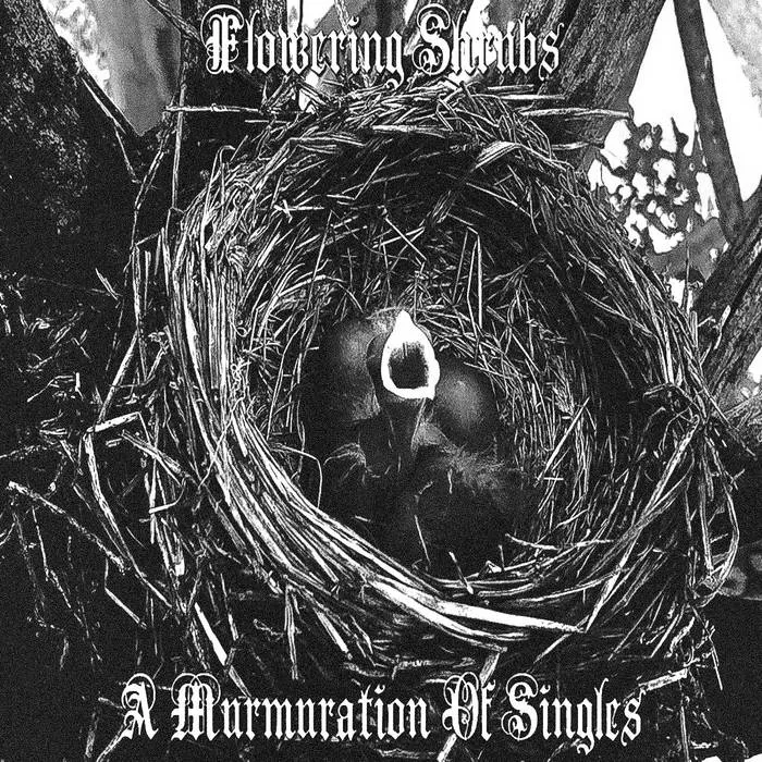 A Murmuration of Singles