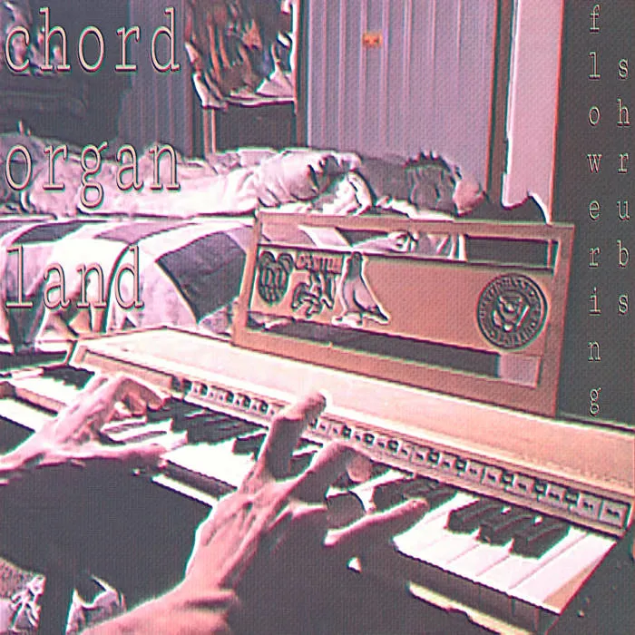 Chord Organ Land