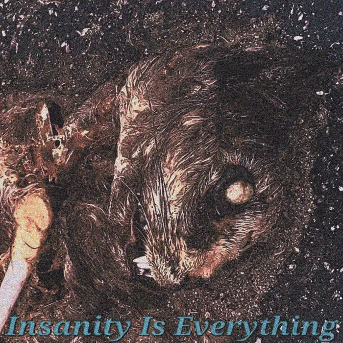 Insanity Is Everything Album Cover