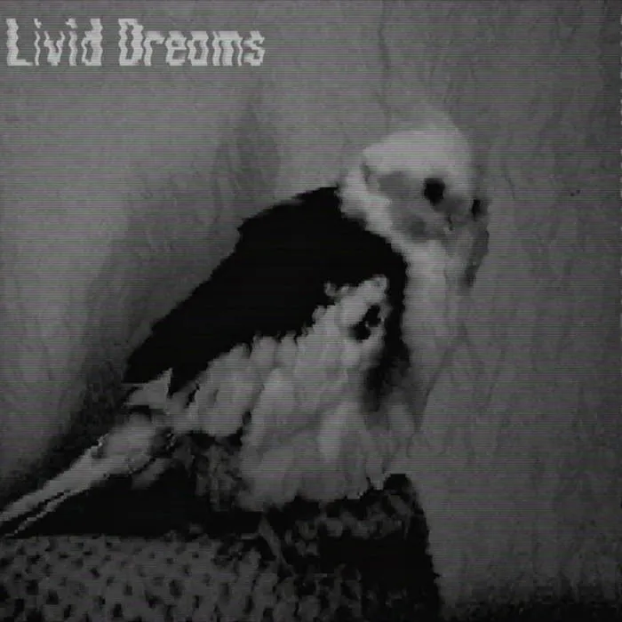 Flowering Shrubs - Livid Dreams Album Cover Artwork