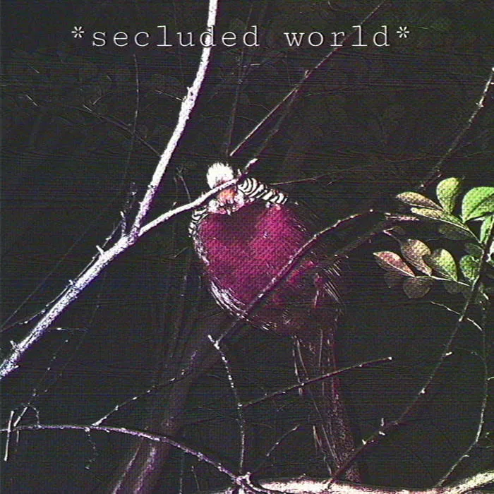 Flowering Shrubs - Secluded World Album Cover