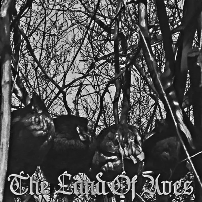 Flowering Shrubs - The Land of Aves Album Cover Artwork