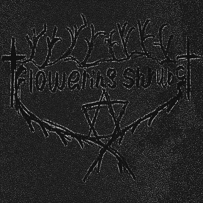 Flowering Shrubs - Void of Reflection Album Cover Artwork