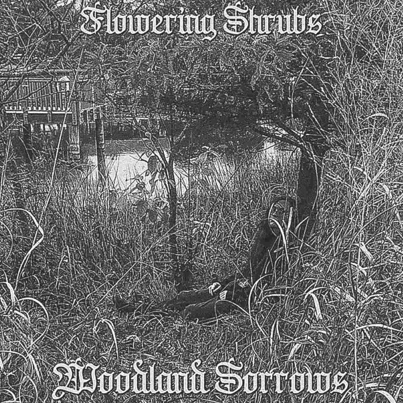 Flowering Shrubs - Woodland Sorrows Album Cover Artwork