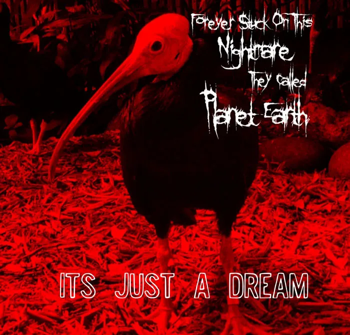 Forever Stuck on This Nightmare They Called Planet Earth - It's Just a Dream Album Cover Artwork