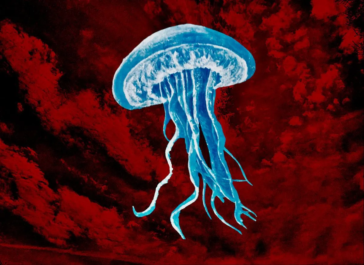 Forever Stuck on This Nightmare They Called Planet Earth - There It Goes as It Fades Away Album Cover