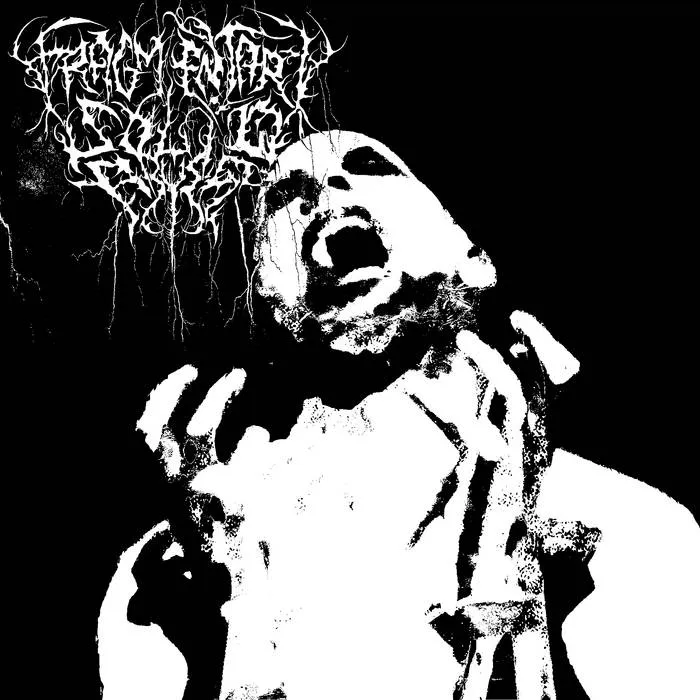 Fragmentary Solid Abyss - Black Arts Album Cover