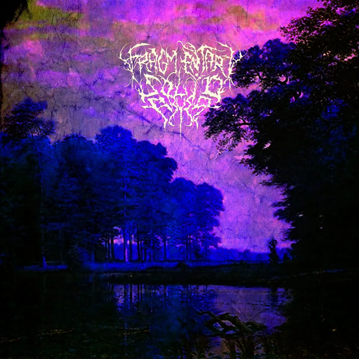 Fragmentary Solid Abyss - Hidden Realms Album Cover