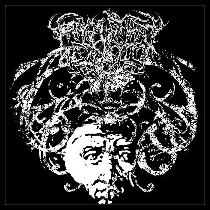 Fragmentary Solid Abyss - MMXXVI Album Cover