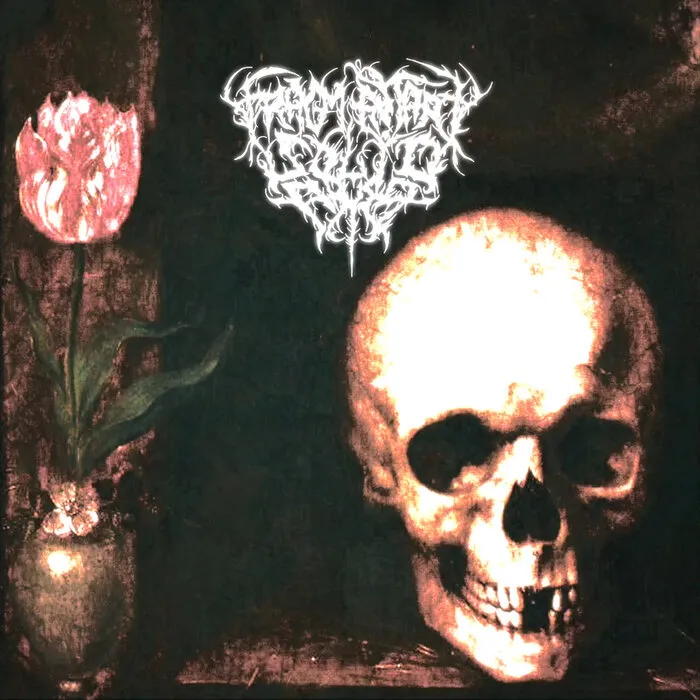 Fragmentary Solid Abyss - Scroll of Creation Album Cover