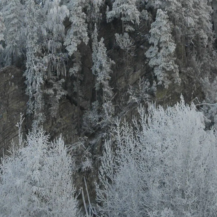 Frostnoise - 2025_10_31_18_01_10 Album Cover