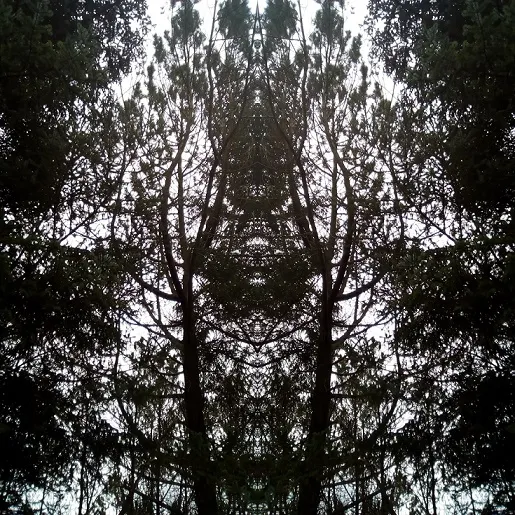 Frostnoise - Noisefrost Album Cover