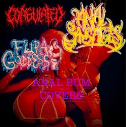 Fupa Goddess - Anal Bum Covers Album Cover Artwork