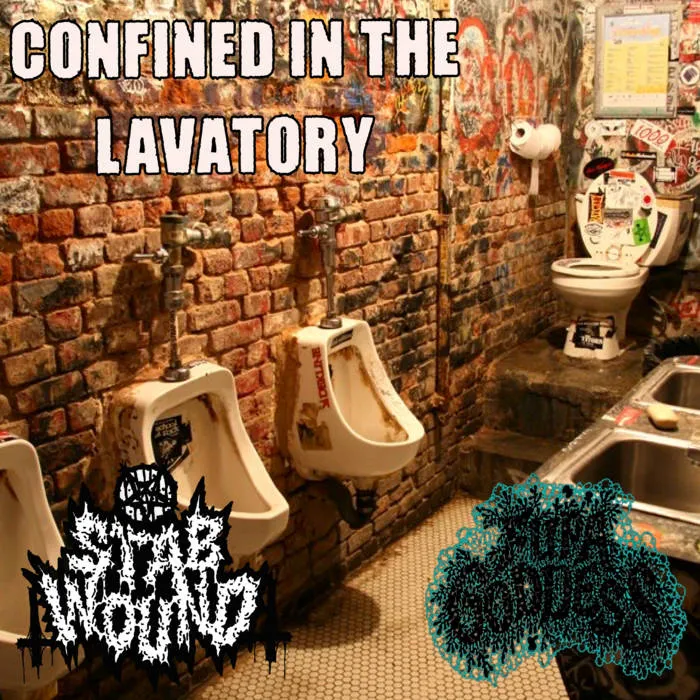 Confined in the Lavatory Album Cover