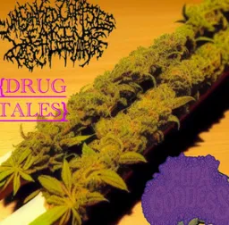 Fupa Goddess - Drug Tales Album Cover Artwork
