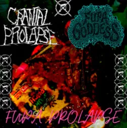 Fupa Goddess - Fupa Prolapse Album Cover Artwork