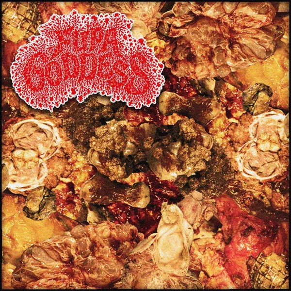 Fupa Goddess - Gastrointestinal Distress Album Cover Artwork