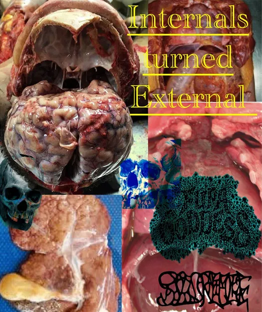 Fupa Goddess - Internals Turned External Album Cover Artwork