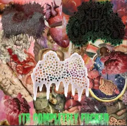 Fupa Goddess - It's Completely Fucked Album Cover Artwork