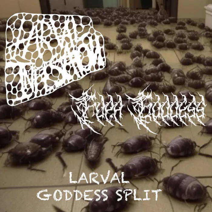 Fupa Goddess - Larval Goddess Split Album Cover Artwork