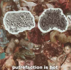 Fupa Goddess - Putrefaction Is Hot Album Cover Artwork