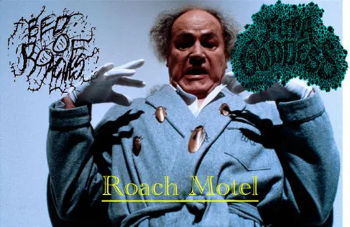 Fupa Goddess - Roach Motel Album Cover Artwork