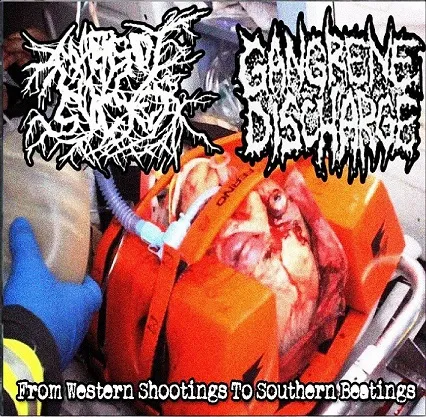 From Western Shootings to Southern Beatings