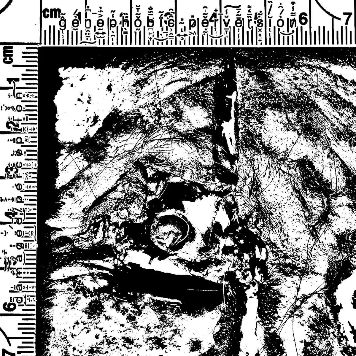 Genophobic Perversion - Damaged Perception Album Cover