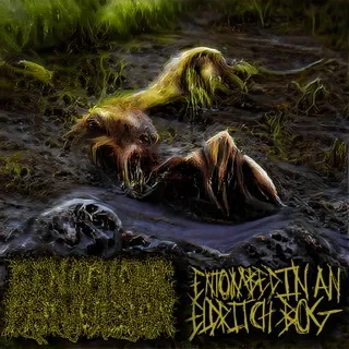 Genophobic Perversion - Entombed in an Eldritch Bog Album Cover Artwork
