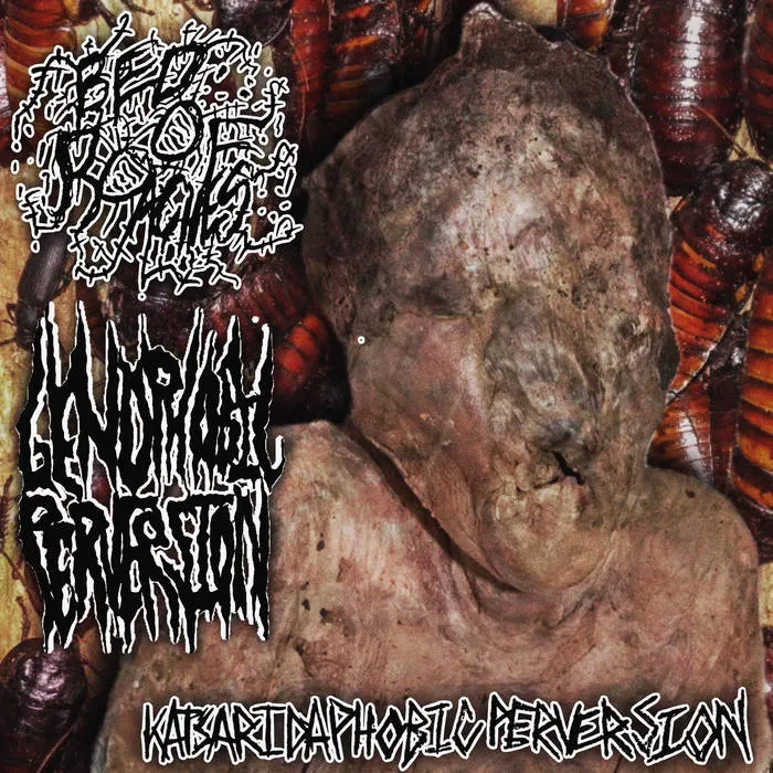 Genophobic Perversion - Katsaridaphobic Perversion Album Cover Artwork