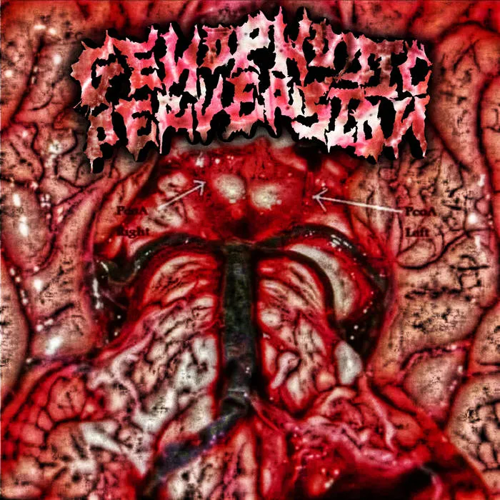 Genophobic Perversion - Loss of Vitality Album Cover Artwork