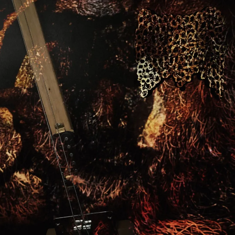 Genophobic Perversion - Two-Stringed Terror Album Cover Artwork