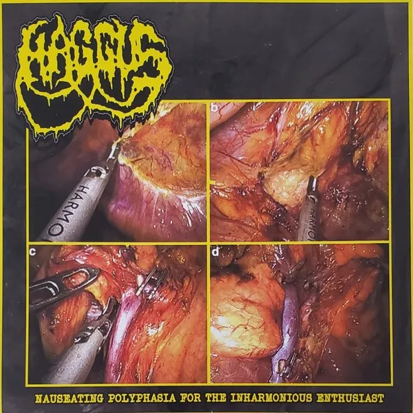 Haggus - Nauseating Polyphasia for the Inharmonious Enthusiast Album Cover