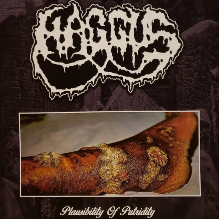 Haggus - Plausibility of Putridity Album Cover Artwork