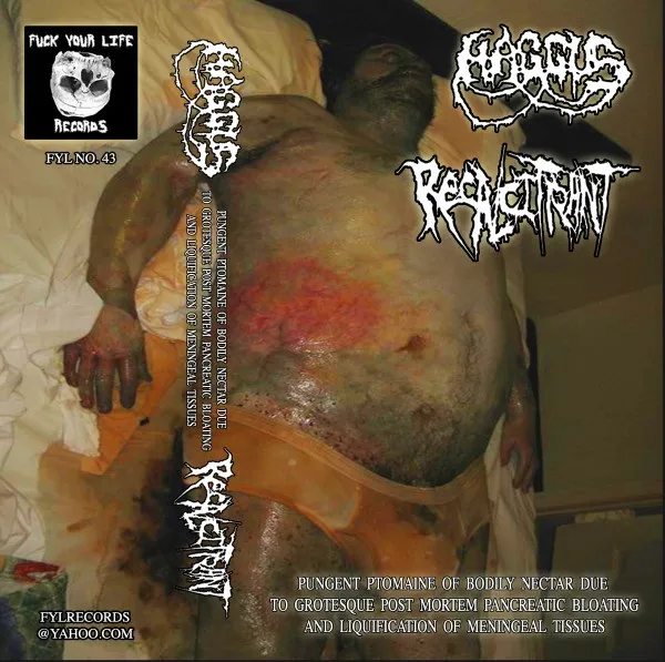Haggus - Pungent Ptomaine of Bodily Nectar Due to Grotesque Post Mortem Pancreatic Bloating and Liquification of Meningeal Tissues Album Cover Artwork