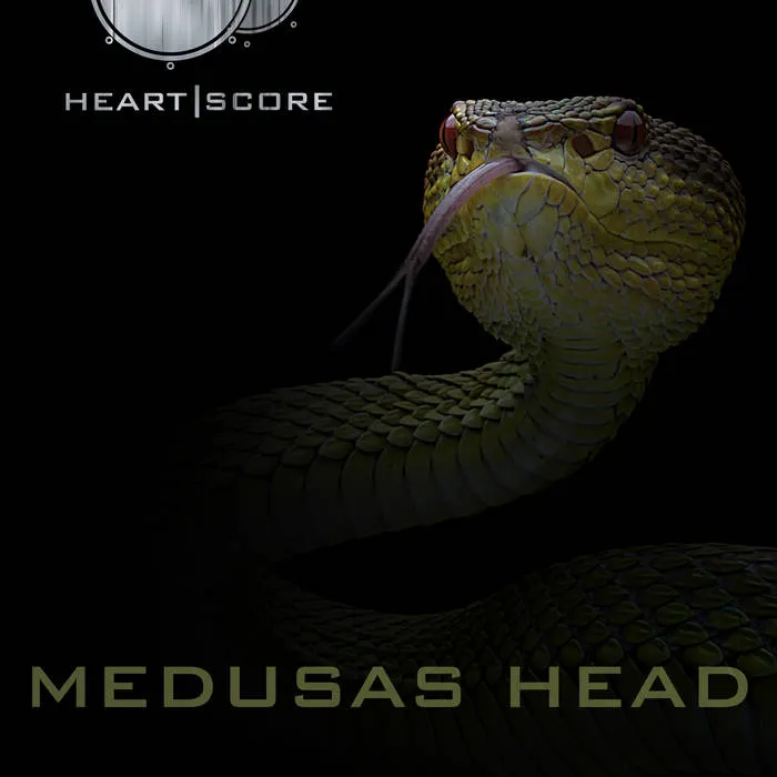 Medusas Head Album Cover