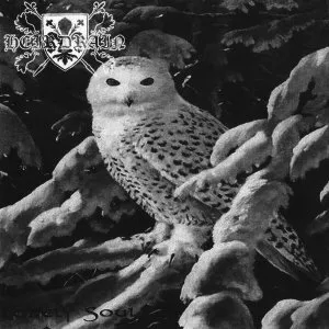 Heirdrain - Lonely Soul Album Cover Artwork