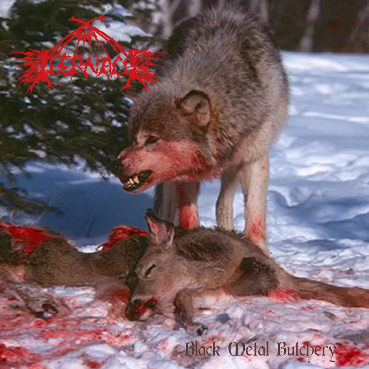 Black Metal Butchery Album Cover