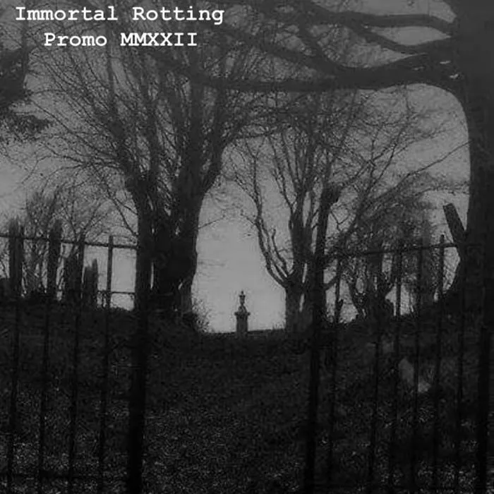 Promo MMXXII Album Cover